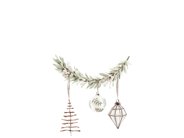 Weihnachtsangebote